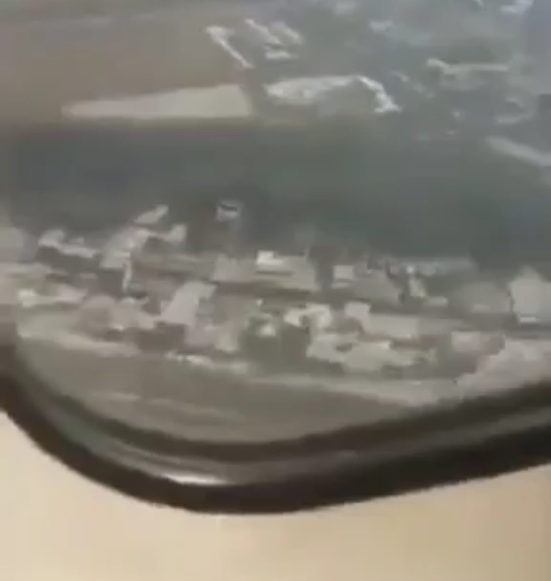 68 nəfərin öldüyü təyyarə qəzasının görüntüləri yayıldı: Sərnişin çəkib - VİDEO