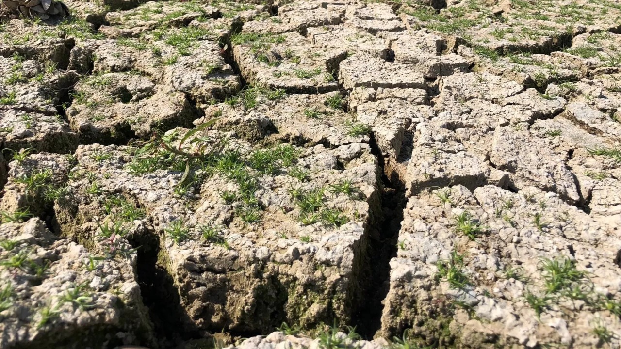 Fed ABŞ-ın 6 böyük bankından iqlim riski analizini tələb etdi