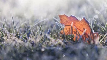 Əfqanıstanda soyuqdan 78 nəfər ölüb