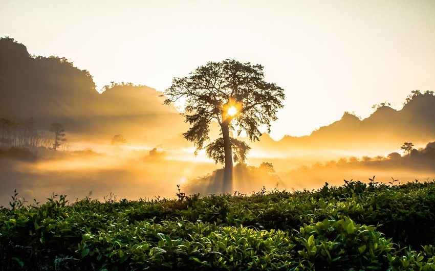 Sabah hava yağmursuz olacaq