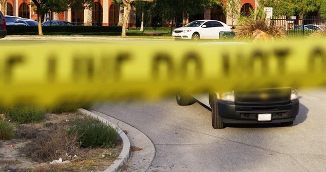 Tüfəngin tətiyinə basan it sahibini öldürüb