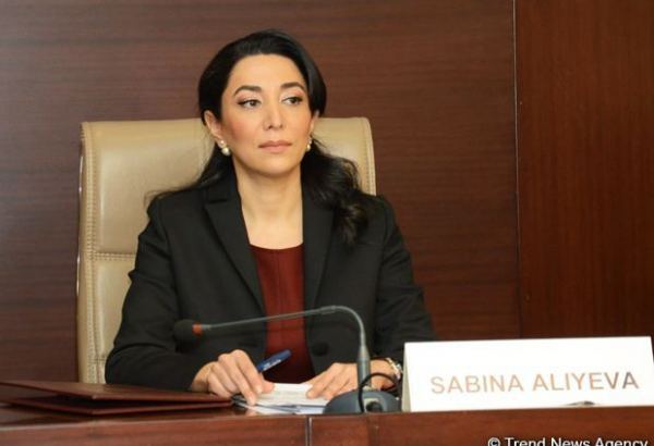 Azərbaycan Ombudsmanı Ermənistanın müharibə və ekoloji cinayətləri ilə bağlı beynəlxalq təşkilatlara növbəti dəfə müraciət edib