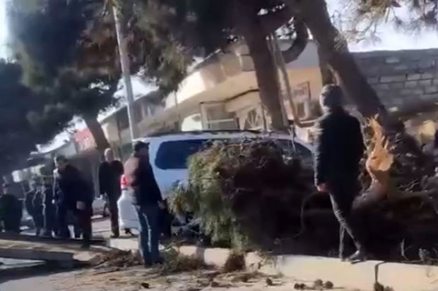 Yüksək sürətlə hərəkətdə olan “Prado” ağaclığa çırpıldı - VİDEO