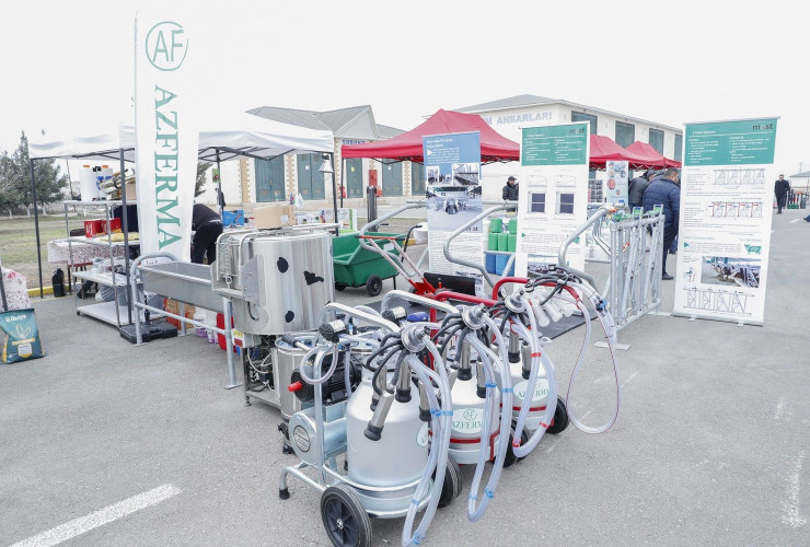 Ağdaşda bu ilin ilk Aqrar İnnovasiya Festivalı keçirilib