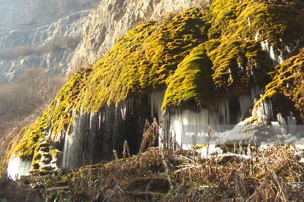 Qarabağın təbiət möcüzəsi: Şuşanın Çətir şəlaləsi buz bağlayıb - FOTO