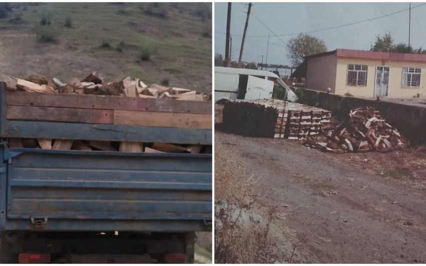 Lənkəranda qanunsuz yolla əldə olunmuş odun aşkarlanıb