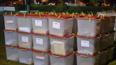 Tunisdə keçirilən seçkilərin ikinci turunda da fəallıq aşağı olub