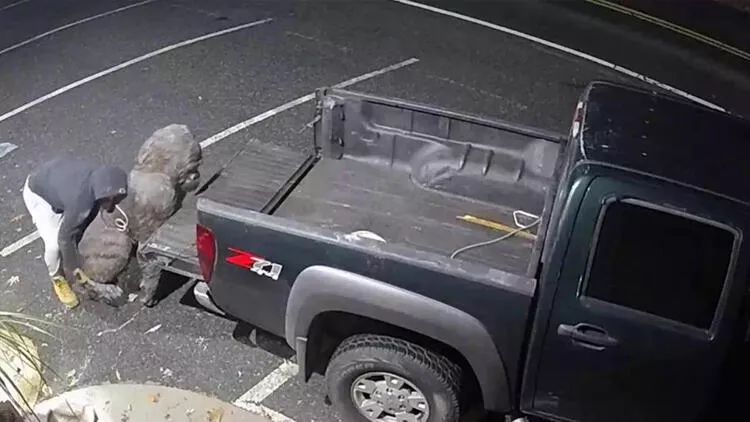 Antikvar mağazasından qorilla heykəli oğurlanıb