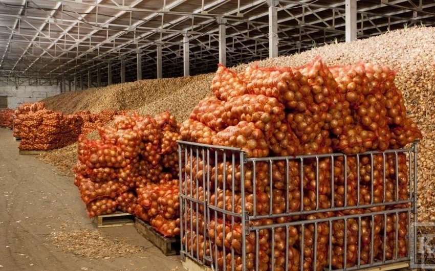 Soğanın ixracı müvəqqəti olaraq tənzimlənən malların siyahısına daxil edilib