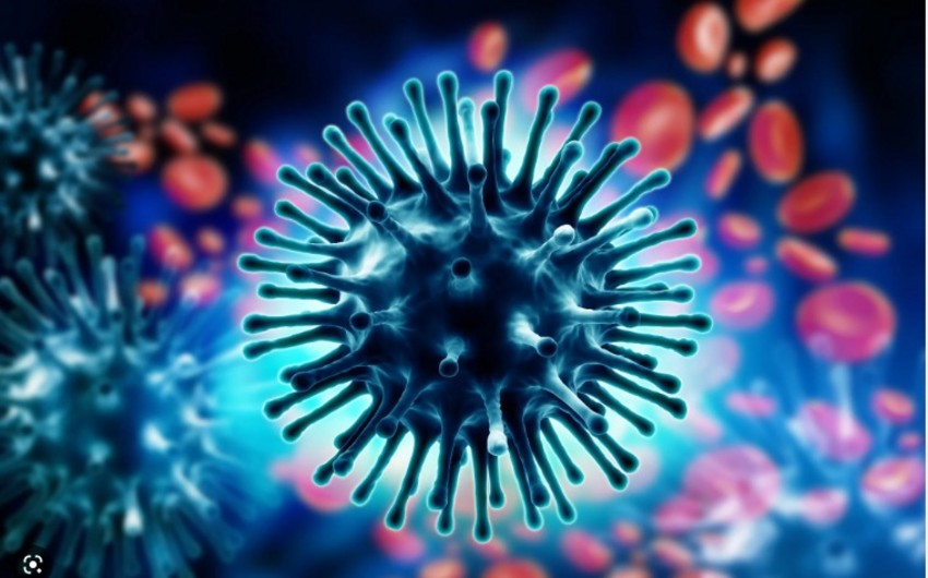 Səhiyyə Nazirliyi: