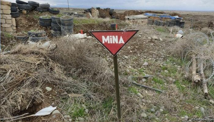 Azad edilmiş ərazilərdə ötən həftə daha 42 mina aşkarlanıb