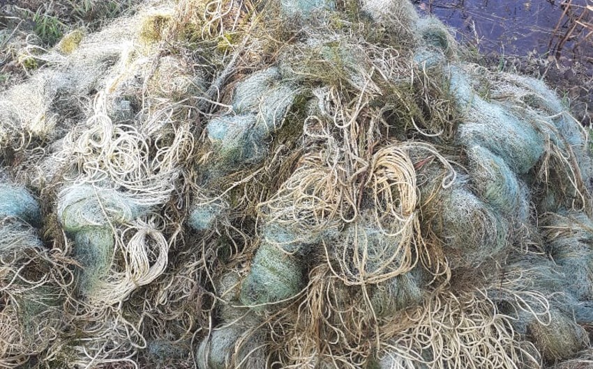 Qanunsuz ov edən şəxs saxlanılıb