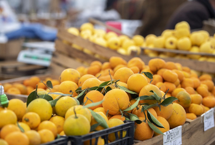 18-19 fevral tarixlərində “Kənddən Şəhərə” yarmarkaları təşkil olunacaq