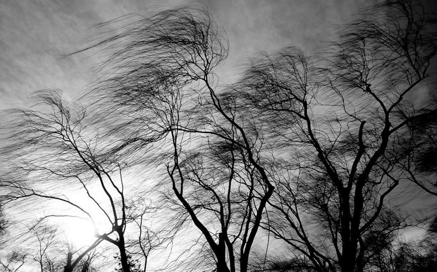 Bazar günü hava küləkli olacaq