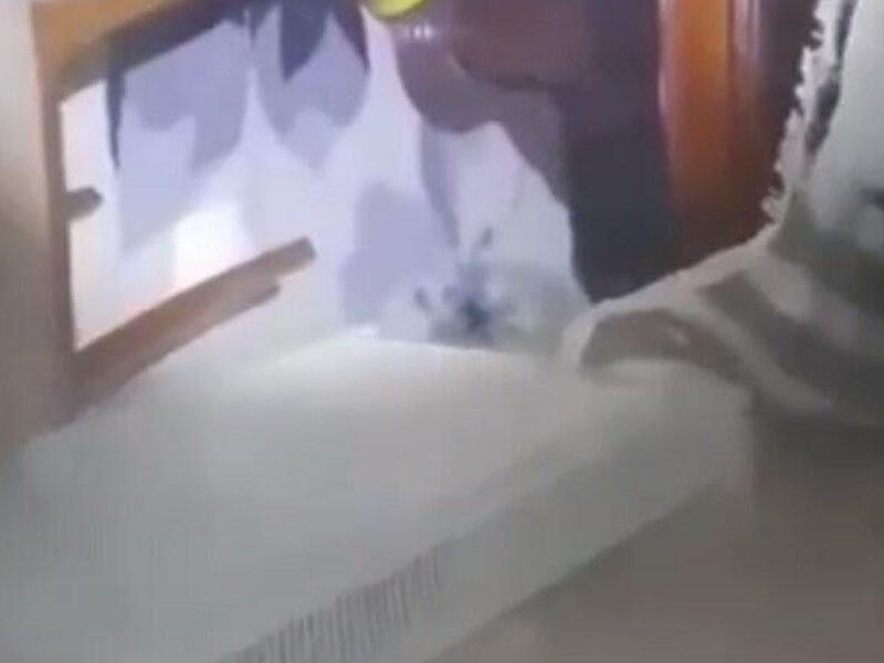 Pişiyi xilas etmək istədilər, dağıntılar altında qaldılar - VİDEO