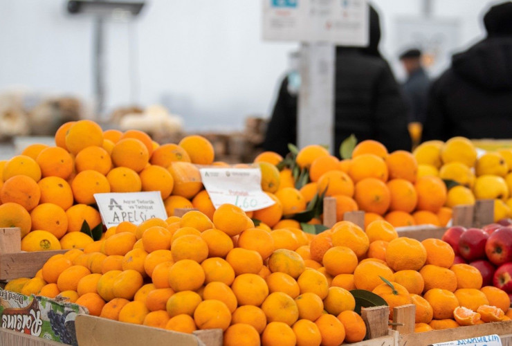 Həftəsonu “Kənddən Şəhərə” yarmarkaları təşkil olunacaq
