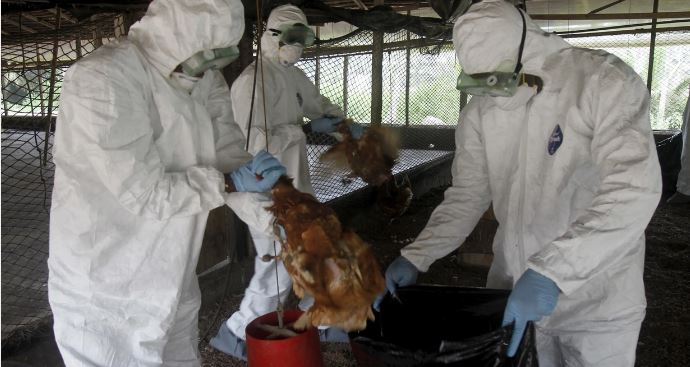 11 yaşlı qız quş qripindən öldü