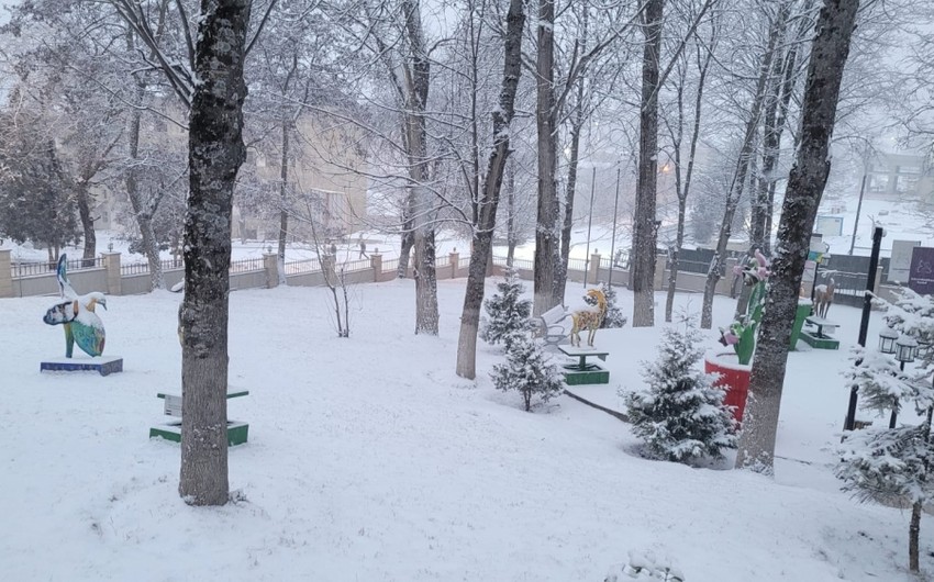 В Шуше выпал обильный снег