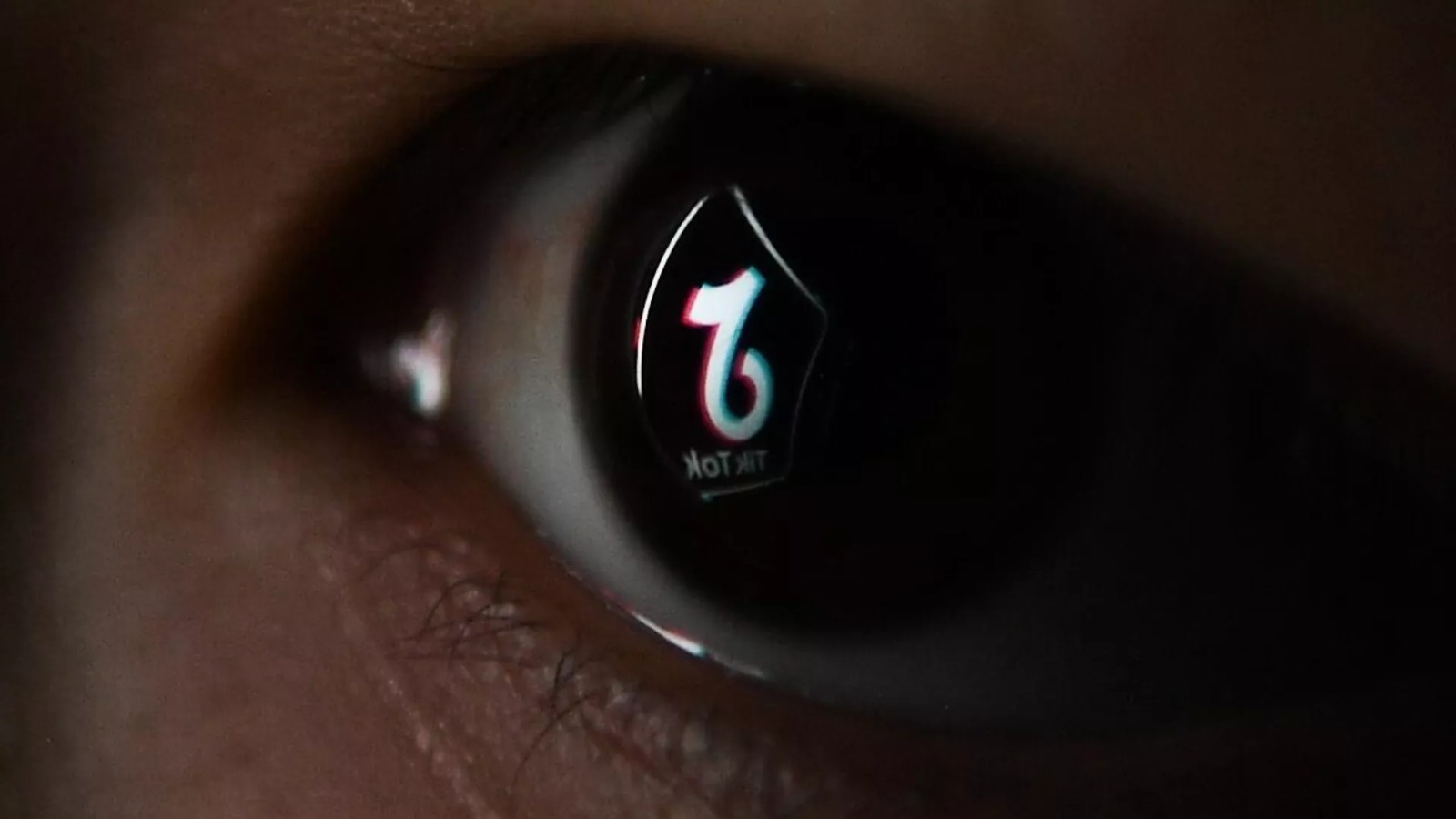 Belçikada hökumət rəsmilərinə “TikTok”dan istifadə qadağan edildi