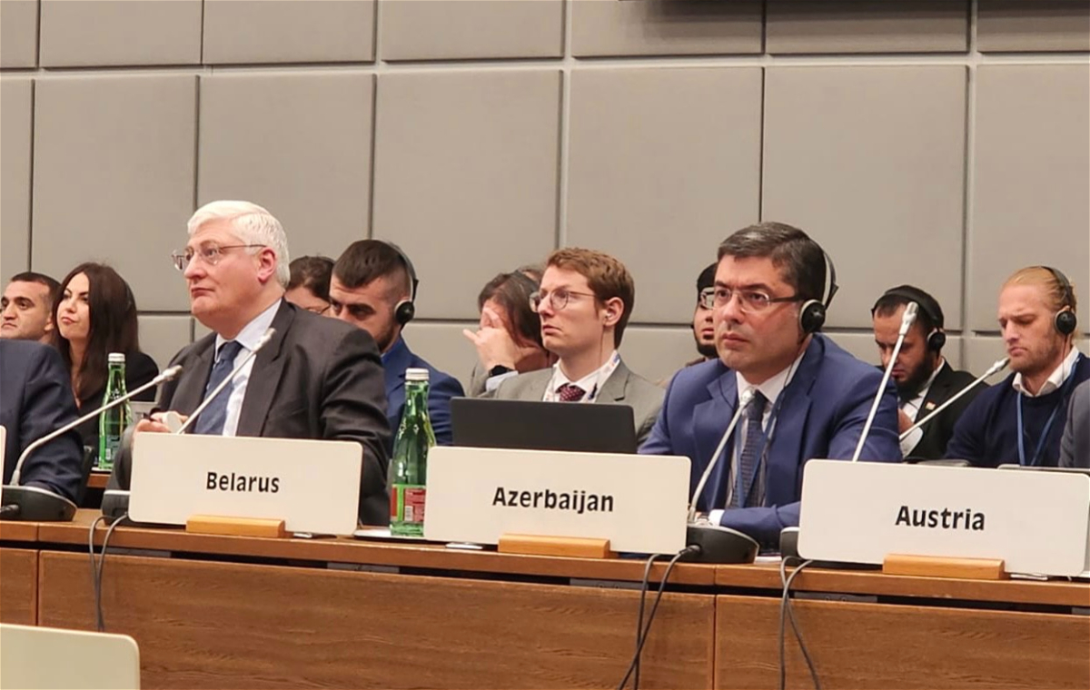 Azərbaycan nümayəndə heyəti Vyanada keçirilən ATƏT-in insan ölçüsü üzrə birinci əlavə görüşündə iştirak edir