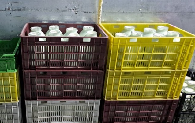 Süd məhsulları emalı müəssisəsində nöqsanlar aşkarlandı