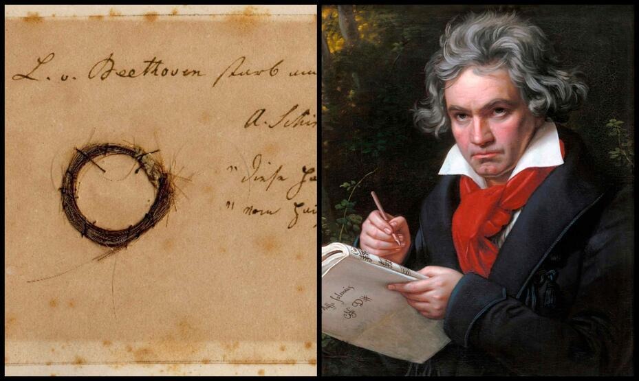 Bethovenin sirlərini saç telləri açdı