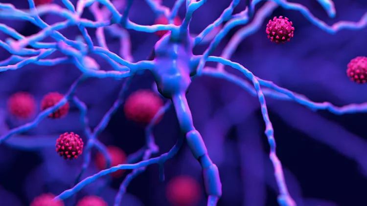 Tanzaniyada Marburq virusundan 5 nəfər ölüb