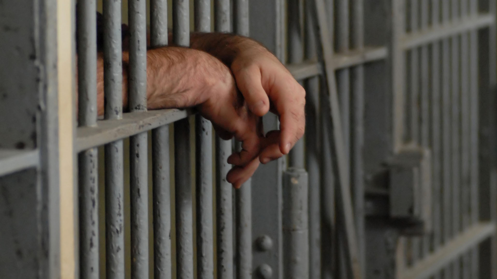 Cinayət törətməkdə şübhəli bilinən 21 nəfər saxlanılıb