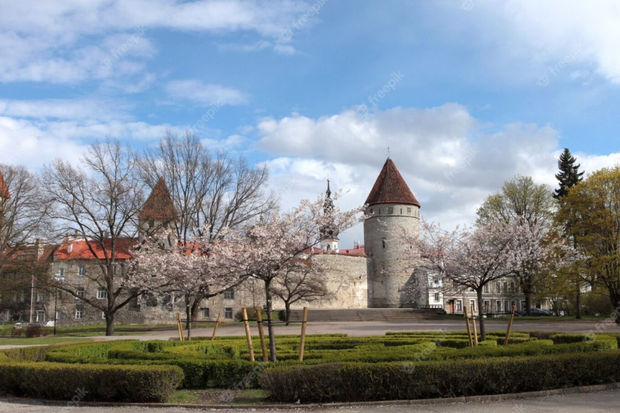 Estoniya rusiyalı diplomata beş gün vaxt verib