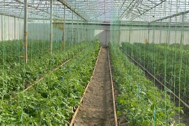 Samuxda istixanada nöqsanlar aşkarlanıb - FOTO