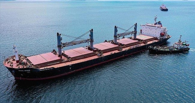 Ukraynadan taxıl dəhlizi ilə son iki həftədə 1,3 milyon ton yük daşınıb