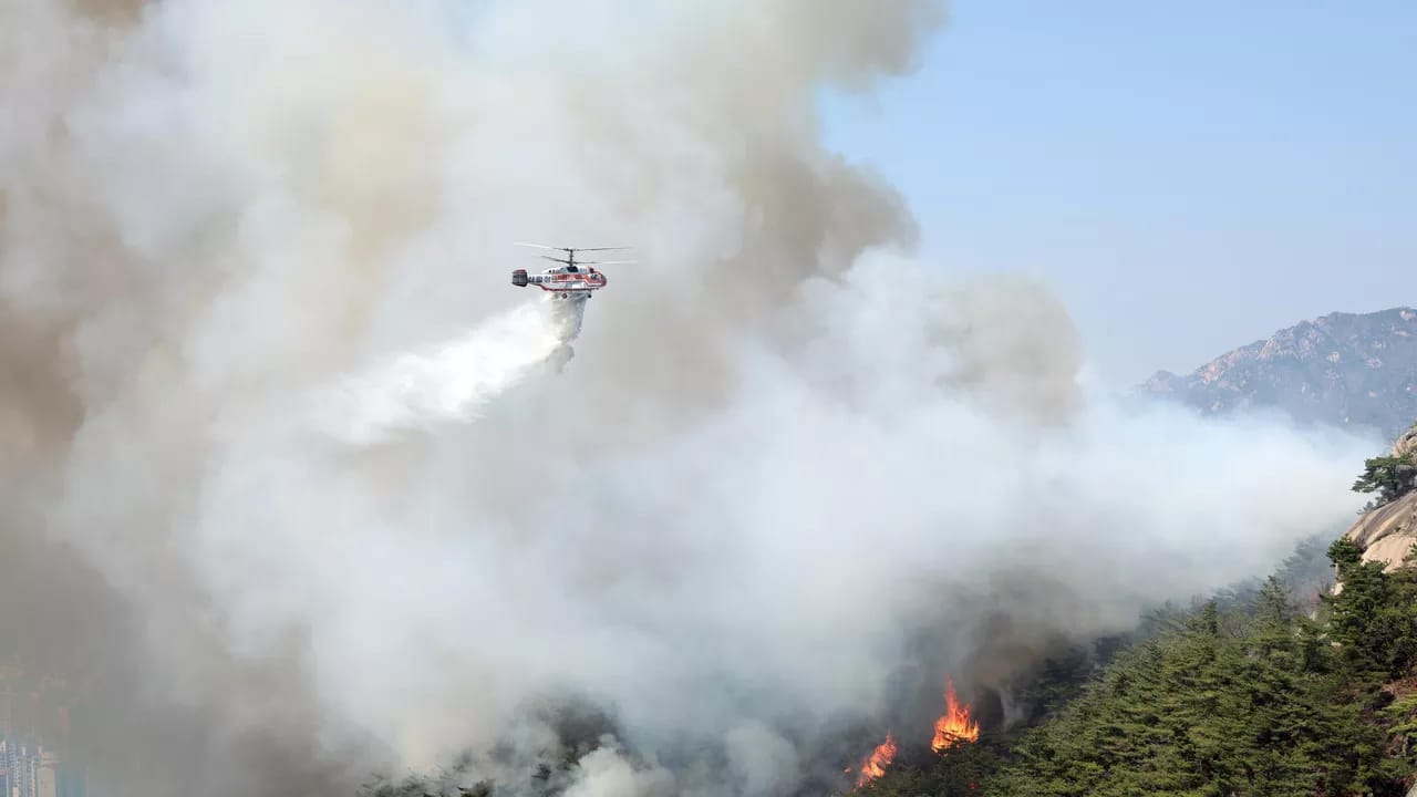 Cənubi Koreyanın paytaxtında meşə yanğını: 120 ev təxliyə EDİLDİ