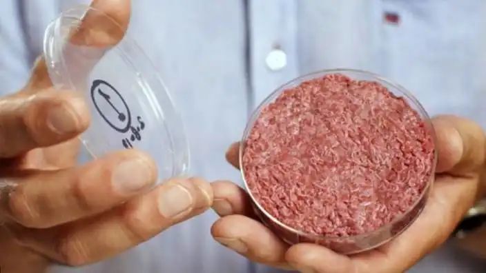 İtaliyada süni ət qadağan edilib