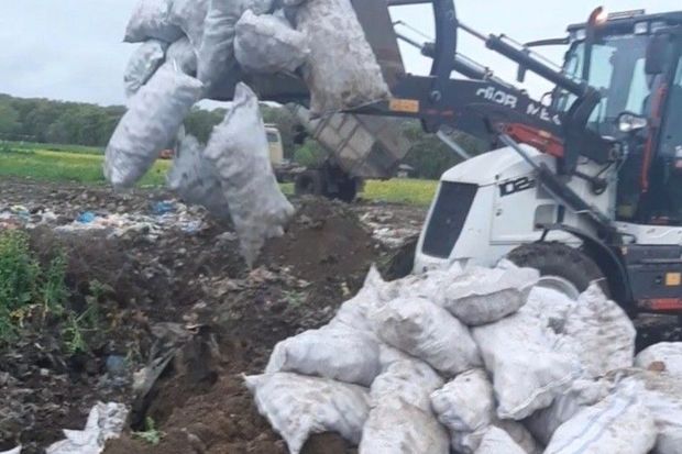 İrandan Azərbaycana gətirilən tonlarla kartof məhv edilib - FOTO