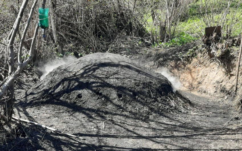 Qubada qanunsuz kömür quyusu aşkarlanıb