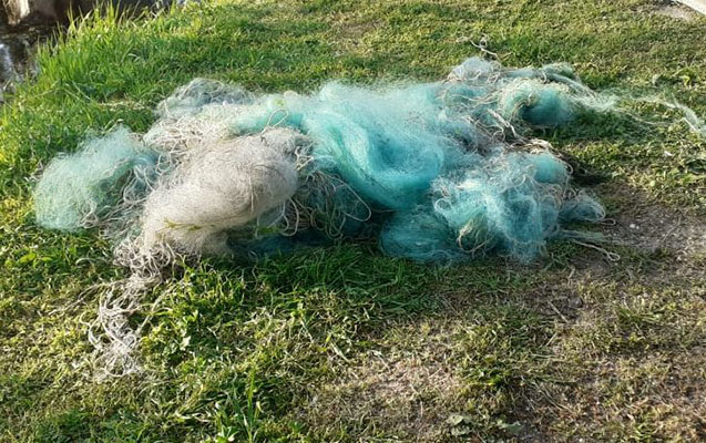 Qanunsuz balıq ovlayanlar saxlanıldı