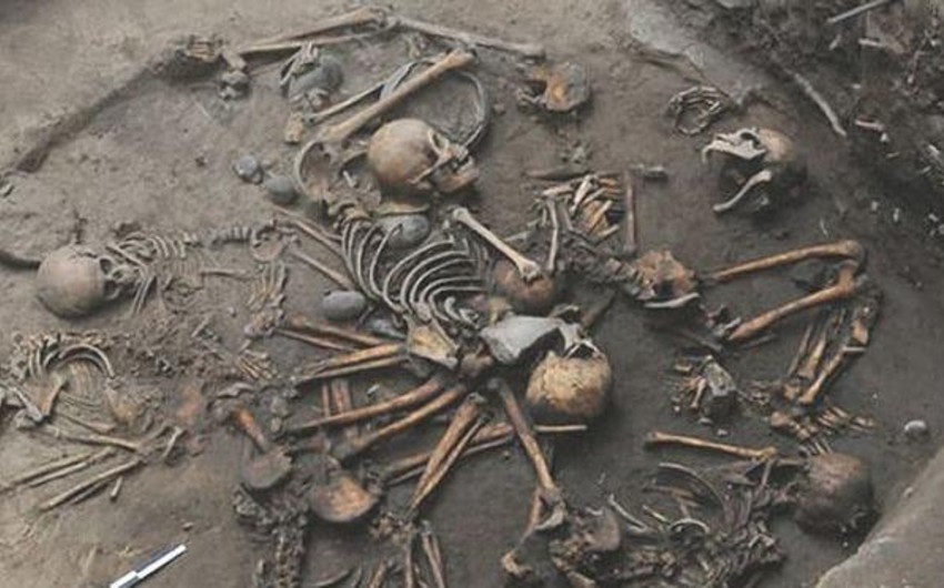 Ağdamda insan skeletinə bənzər sümüklərin aşkarlanması ilə bağlı araşdırmalara başlanılıb - YENİLƏNİB