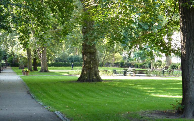 Özündən 43 yaş kiçik qadını parkda bıçaqladı