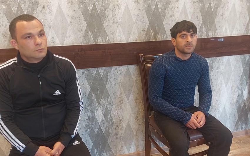 Goranboyda mal-qara oğurlamaqda şübhəli bilinən şəxslər saxlanılıb