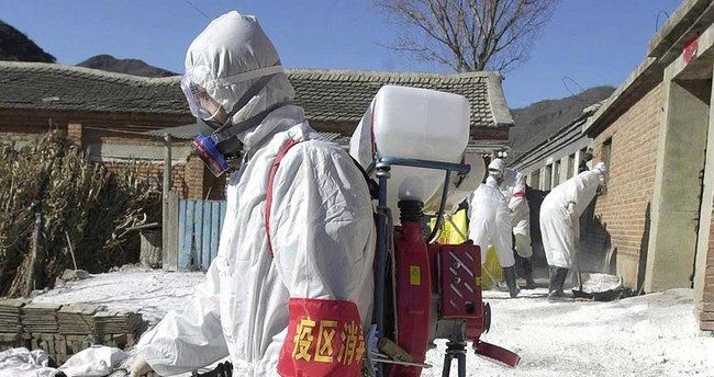 Çində 56 yaşlı qadın quş qripindən ölüb