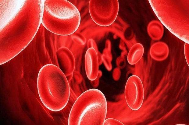 Talassemiya xəstələrinin övladları qanazlığından əziyyət çəkə bilərlər