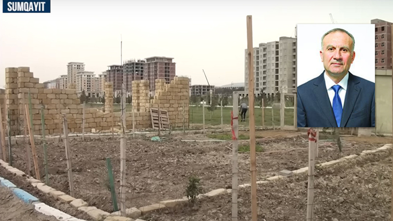 Xiyar-pomidor əkilən Sumqayıt bulvarının rəisi işdən çıxarılıb (İDDİA/VİDEO)