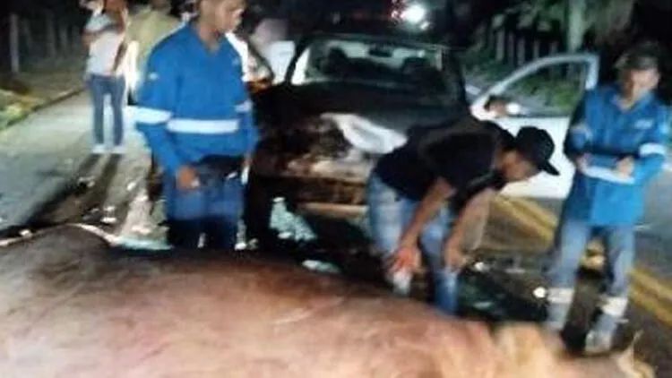 Eskobarın begemotlarından biri avtomobil qəzasında ölüb