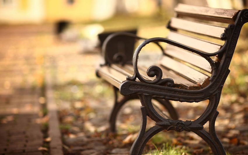 Xırdalanda parkdan 3 ədəd skamya oğurlanıb