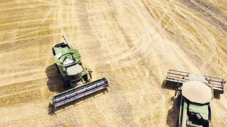 Polşa Ukraynadan taxıl idxalına qadağa qoyub