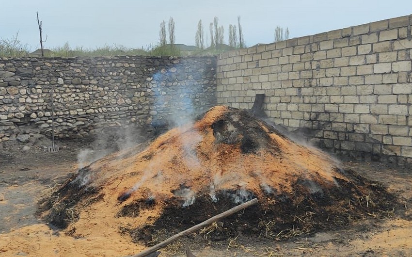 Qəbələ və Qubada həyətyanı sahədə aşkarlanan kömür quyuları ləğv edilib
