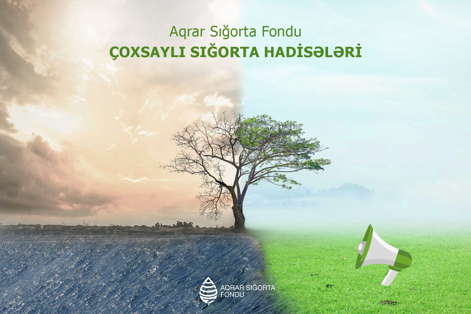 Aqrar Sığorta Fondu: Fermer təsərrüfatlarına dəymiş zərər müəyyənləşdirilir