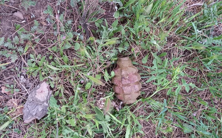 В Баку обнаружены ручные гранаты