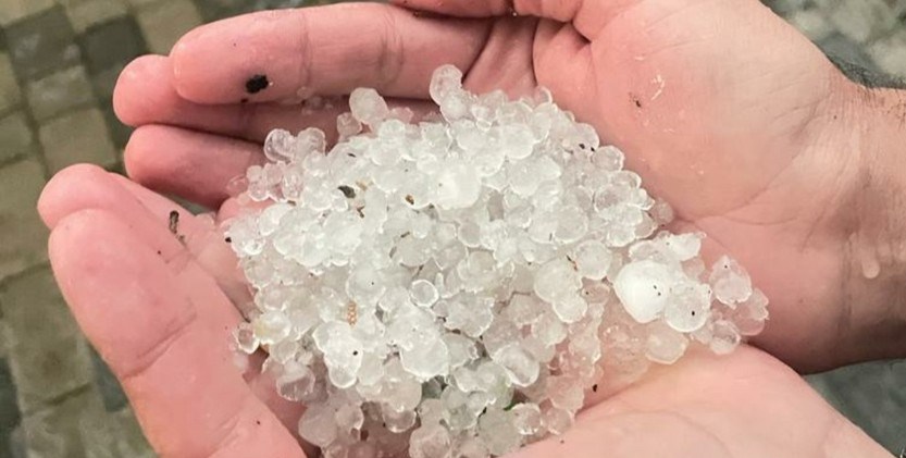 Cəlilabada güclü dolu yağıb, meyvə ağaclarına ziyan dəyib