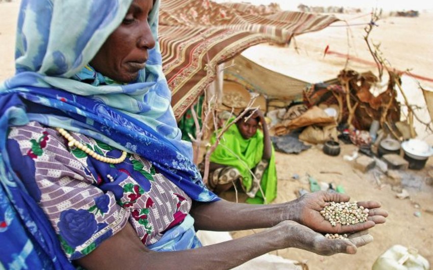 Keniyada aclıqdan ölən 21 nəfərin meyiti tapılıb